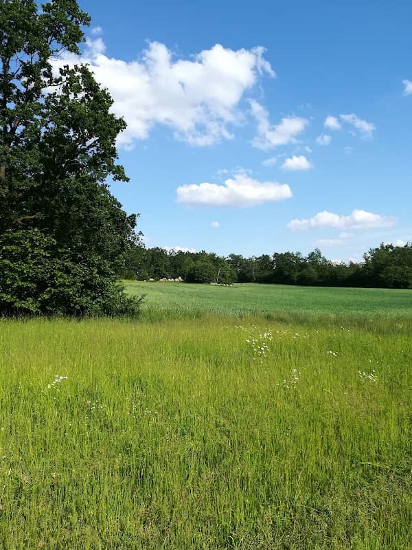 Louky nad Přeckovem - Image 1