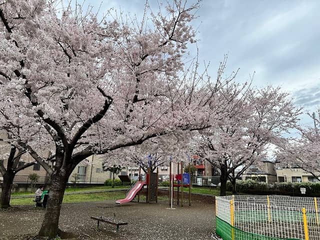 Kunugiyama Park - Image 1