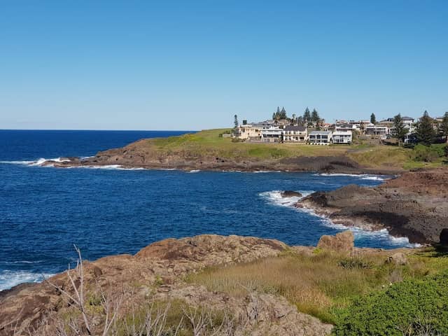 Kaleula Head - Image 1