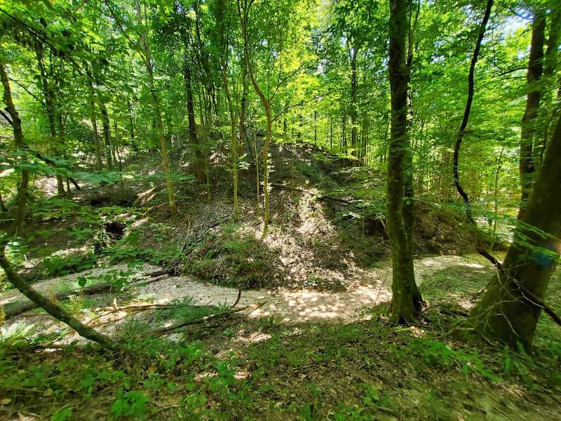 Tunica Hills WMA - Image 2