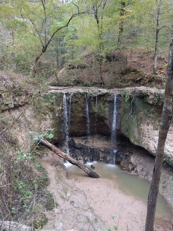 Tunica Hills WMA - Image 1