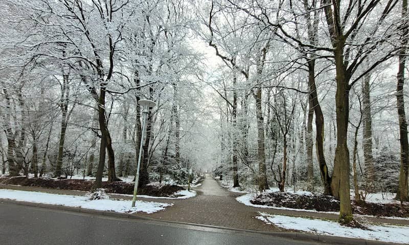 Drogenhasse - Image 2