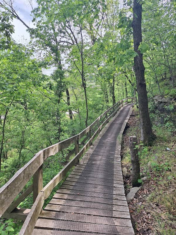 Back 40 Trails Trailhead - Rillington Dr - Image 1