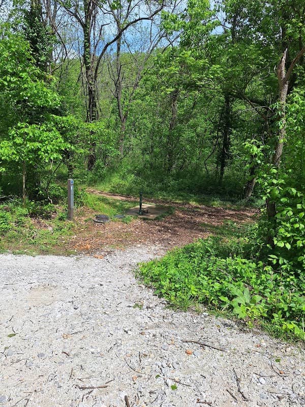 Back 40 Trails Trailhead - Rillington Dr - Image 2