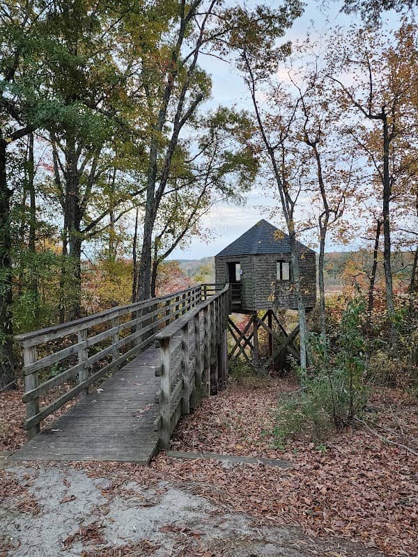 Dick Cross Wildlife Management Area - Image 2