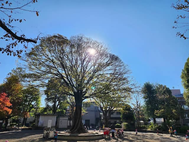 Toshima-ku Agariyashiki Park - Image 1