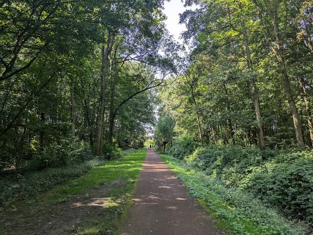 Wittensteinpark - Image 1