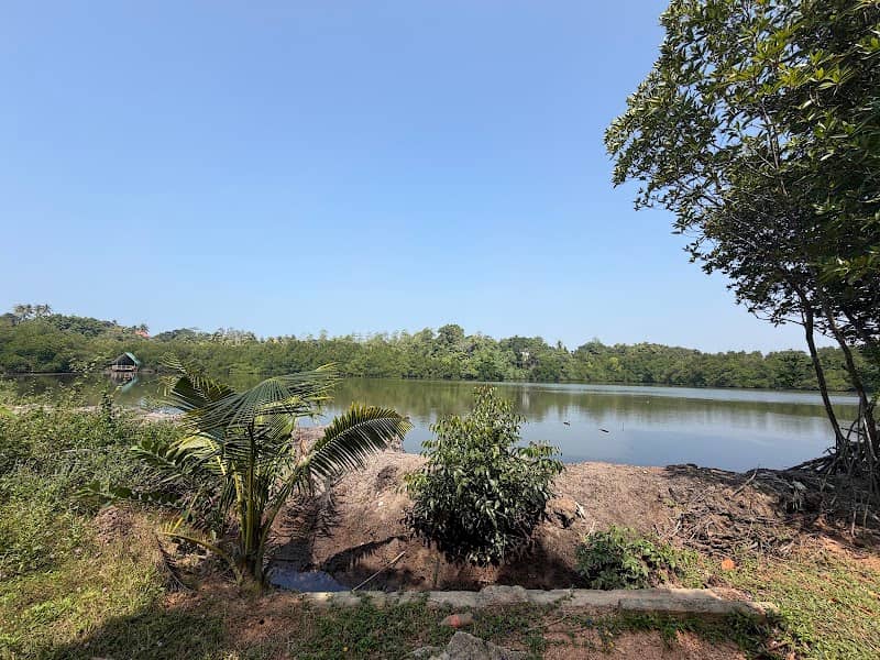 Lagoon View - Image 1