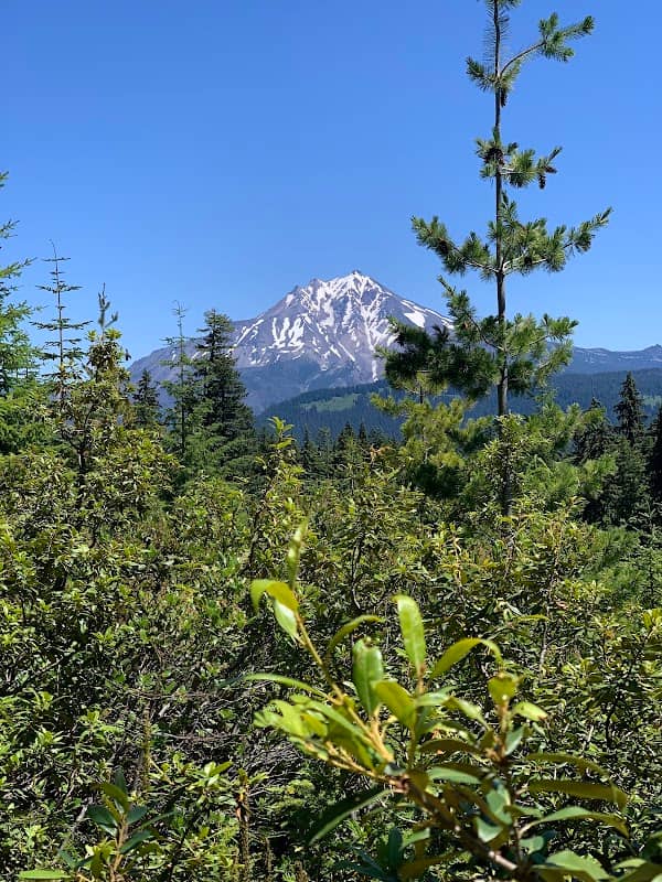 Mount Jefferson - Image 3