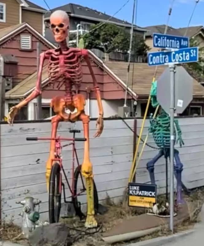 Giant Skeleton and Dinosaur Duo - Image 1