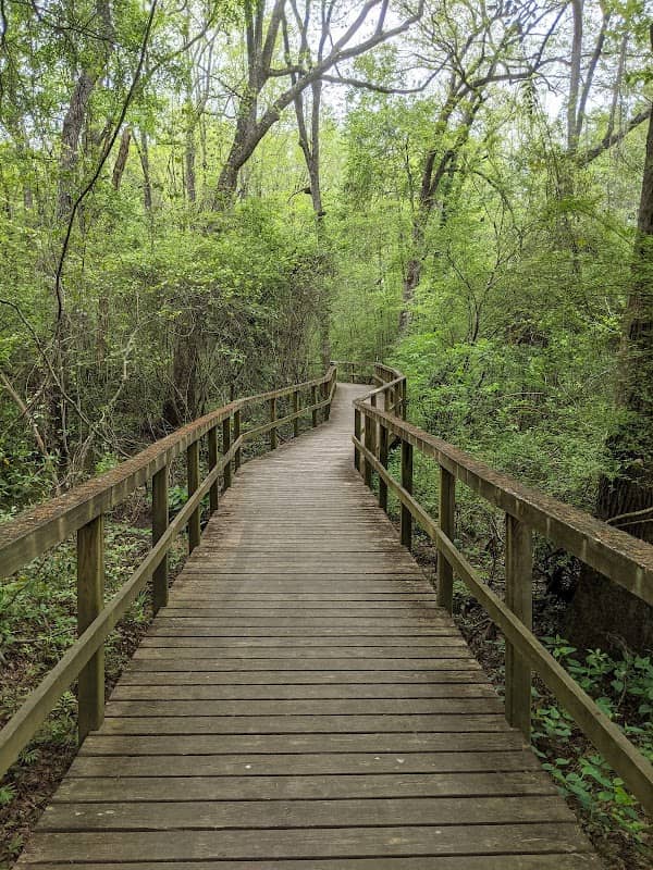 Whitetail Trail - Image 1