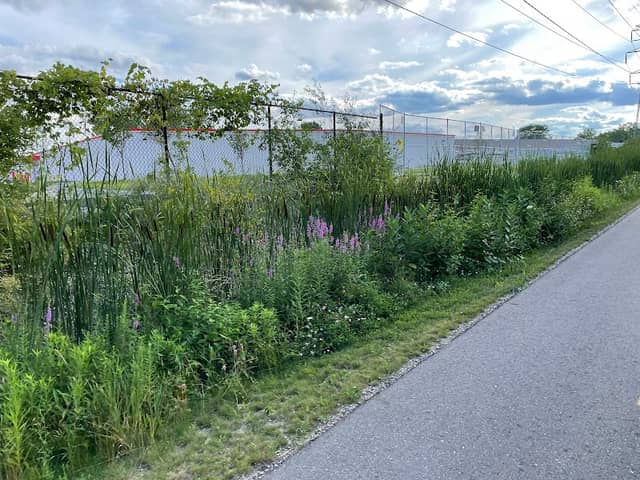 MALT Trail (Welch to Decker) - Image 2