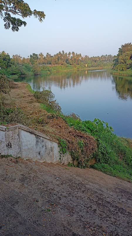 Arattukadavu - Image 1