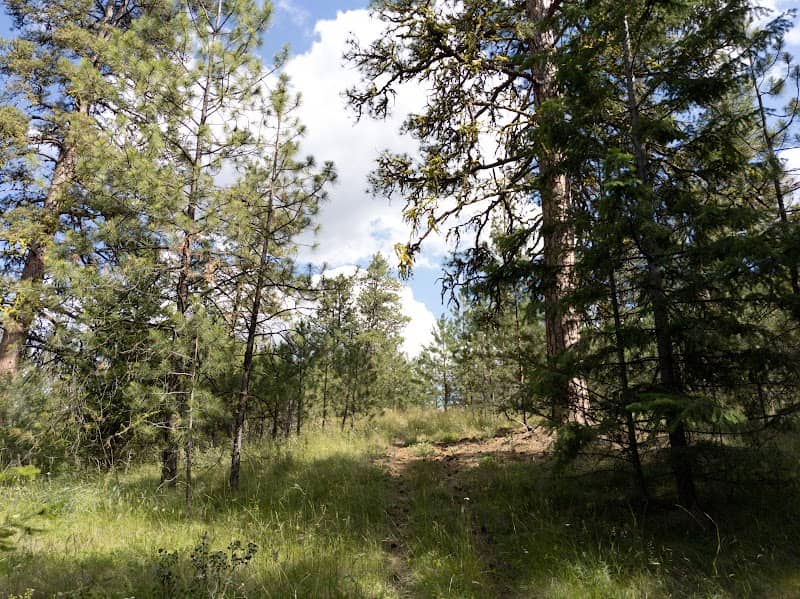 Bannon Mountain Trailhead - Image 1