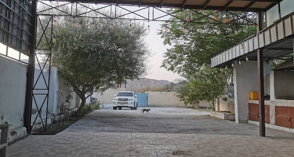 مزرعة سالم المصلحي - Image 1