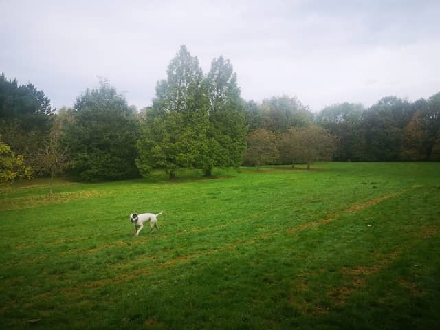 Farmcombe Road Open Space - Image 2