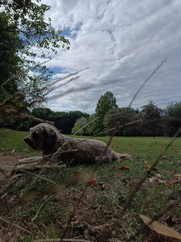 Farmcombe Road Open Space - Image 1