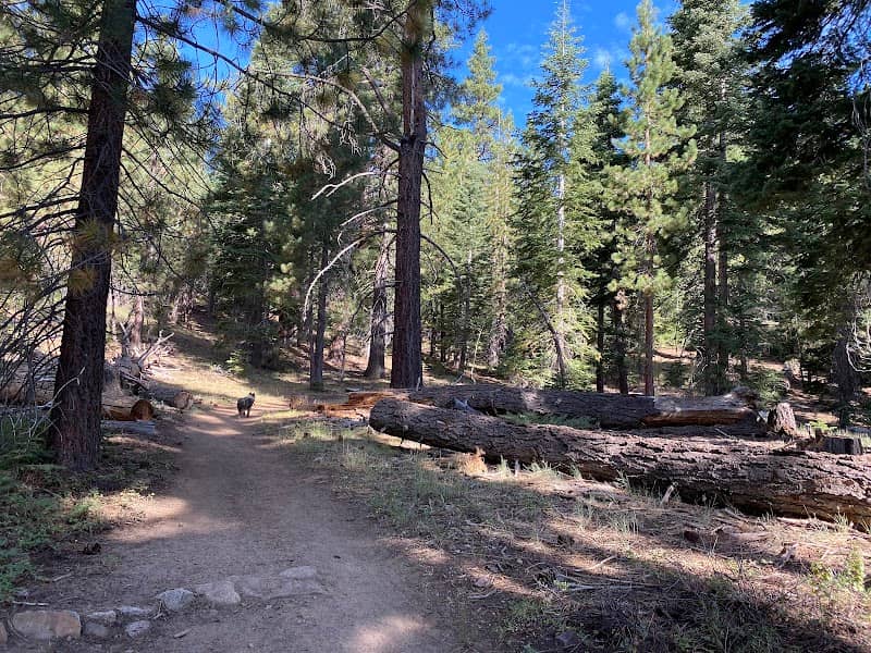 North Canyon Road Trailhead - Image 1