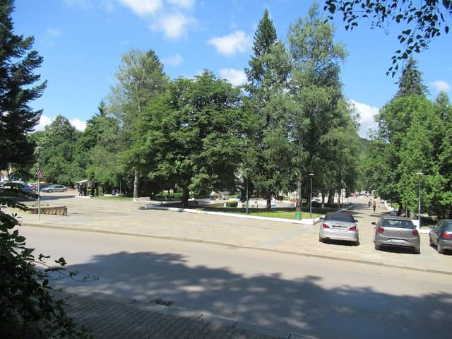 Вековен дъб - Image 1
