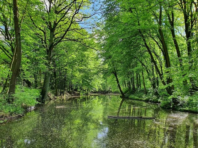 Rezavka - Image 2