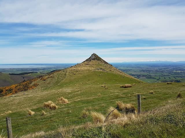 Omahu Bush Reserve - Image 1