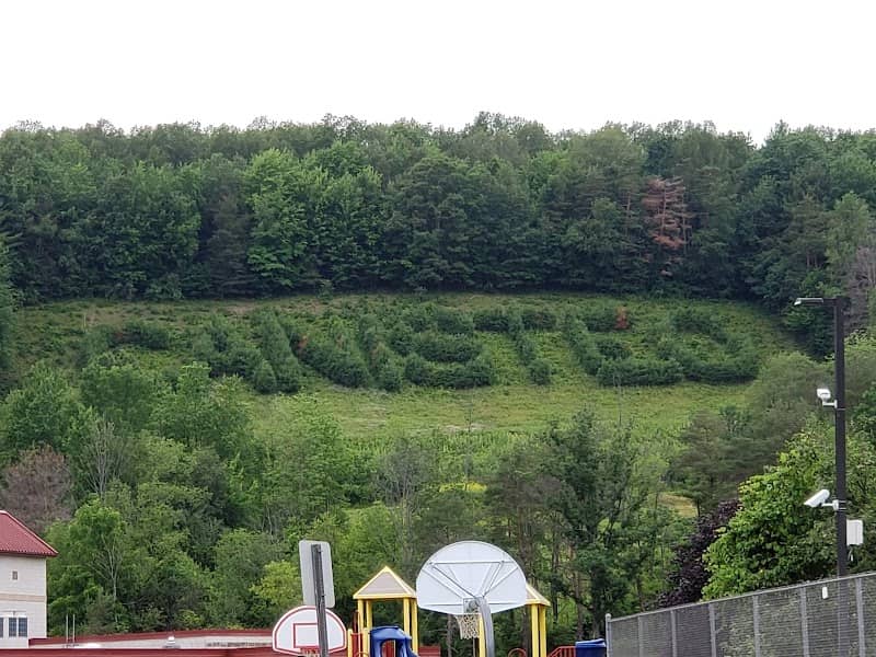 Canisteo Living Sign - Image 1