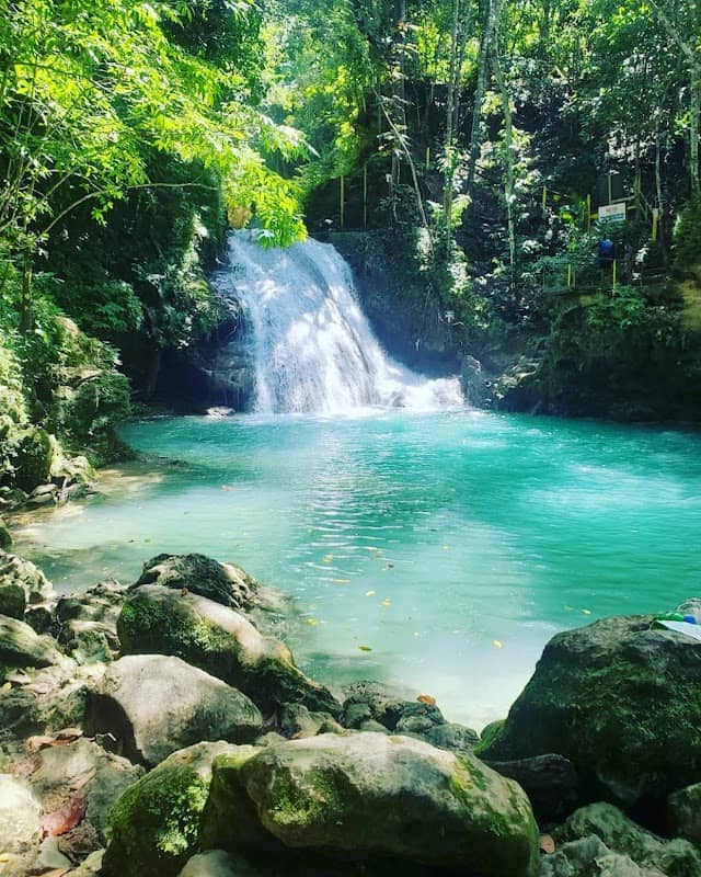 SuavetoursJA - Image 1