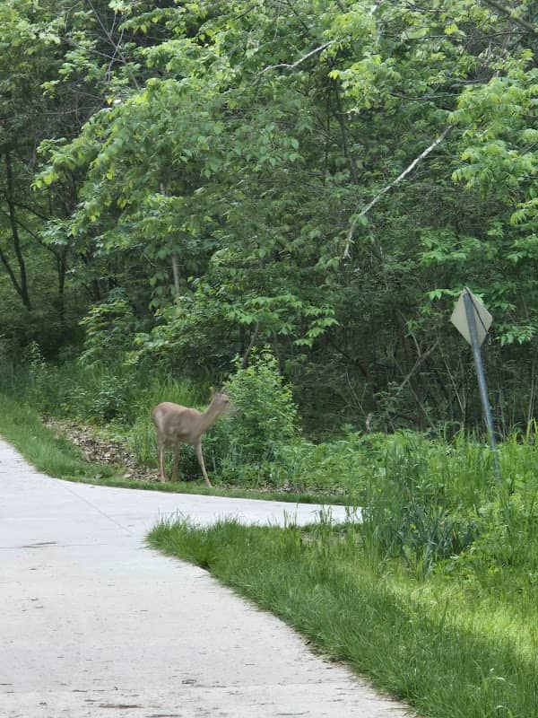 Blackfish Parkway Trail - Image 2