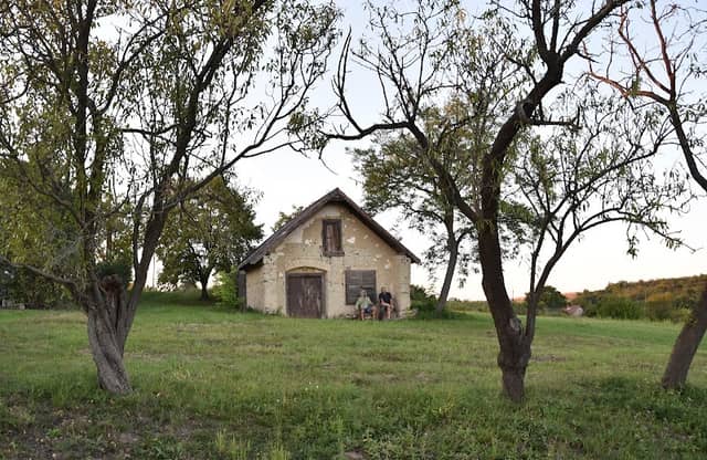Gyümölcskert, Polgárdi pince - Image 1