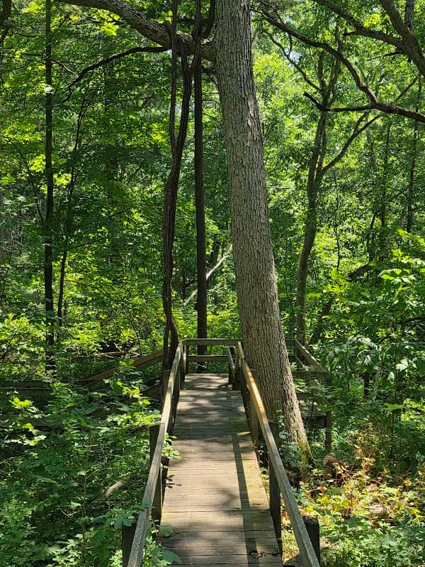 Carolinian Trail - Image 2