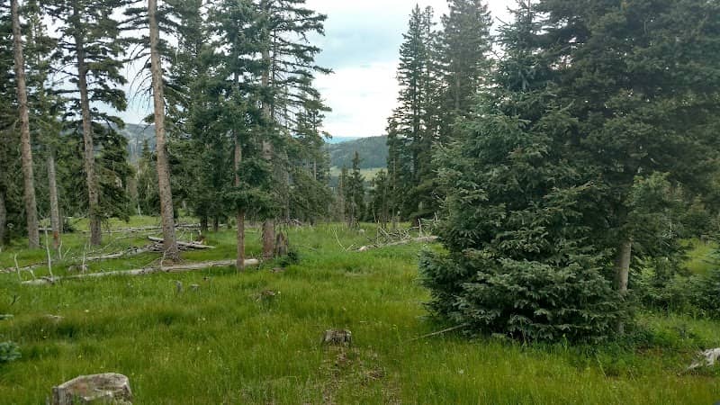 Poso Park - Image 1