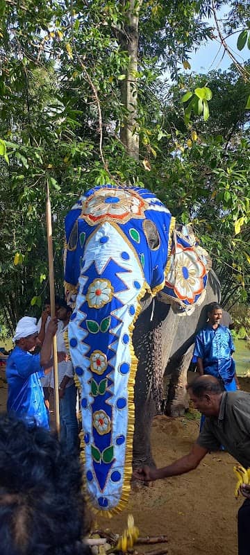 Diyakapanathota - Image 2