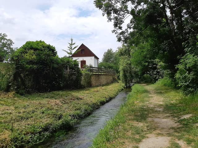 Spring river / Tapolca - Image 1
