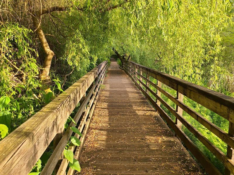 Juanita Bay Park - Image 2