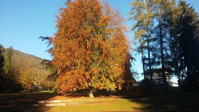 Natura e Ambiente - Image 2