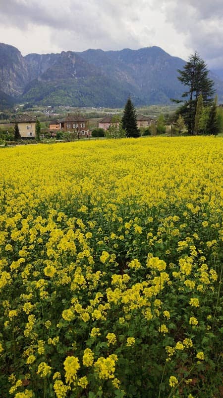 Natura e Ambiente - Image 1