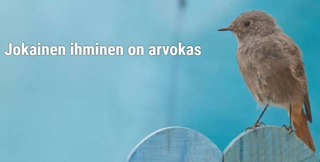 Päihdetyö | Mielenterveystyö | Leppälintu Ry - Image 1
