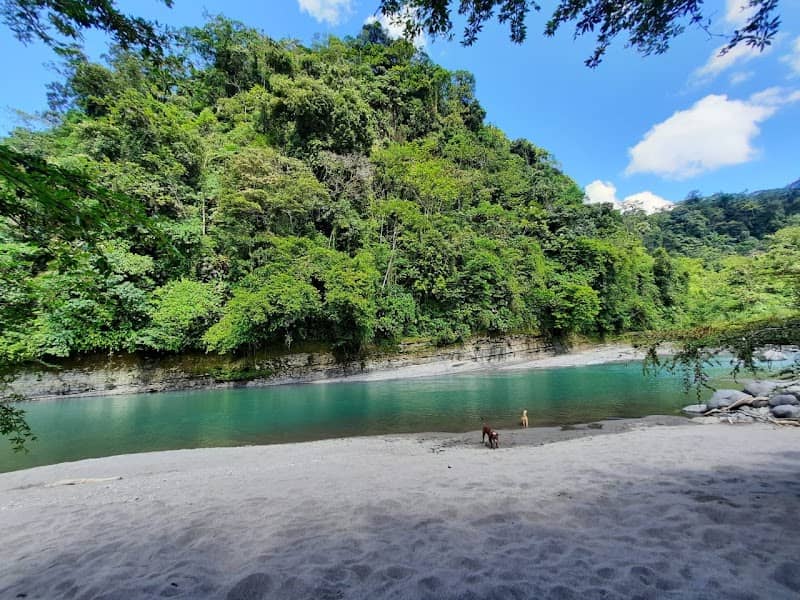 PLAYITA DUE - Image 1
