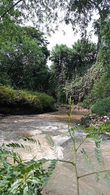 Sungai Alam Asri Pamijen - Image 1