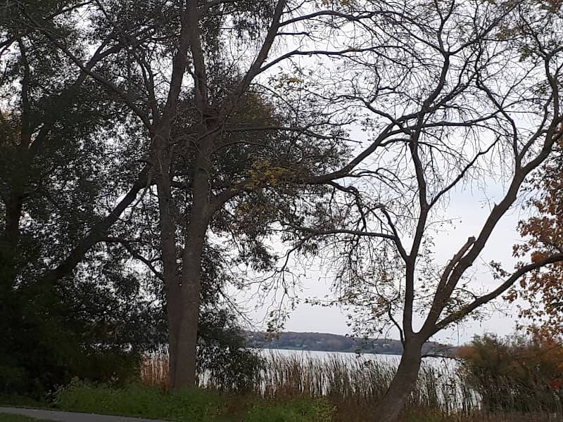 Heard Park - Image 1