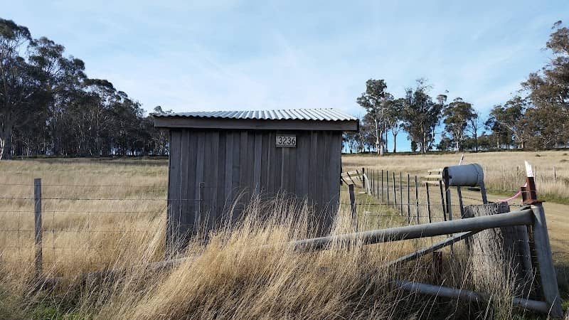 St. Patricks Plains - Image 2