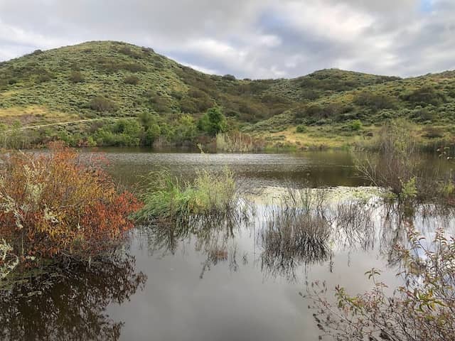 Twin Ponds - Image 2