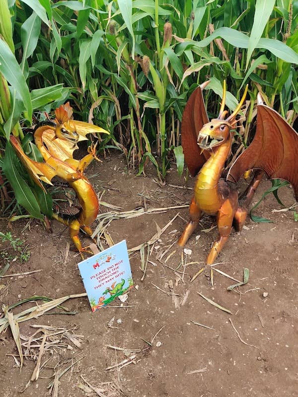 The Great Ryedale Maze - Image 1