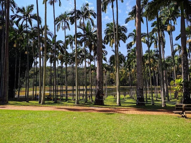 Entrada Principal Horto de Rio Claro - Image 1
