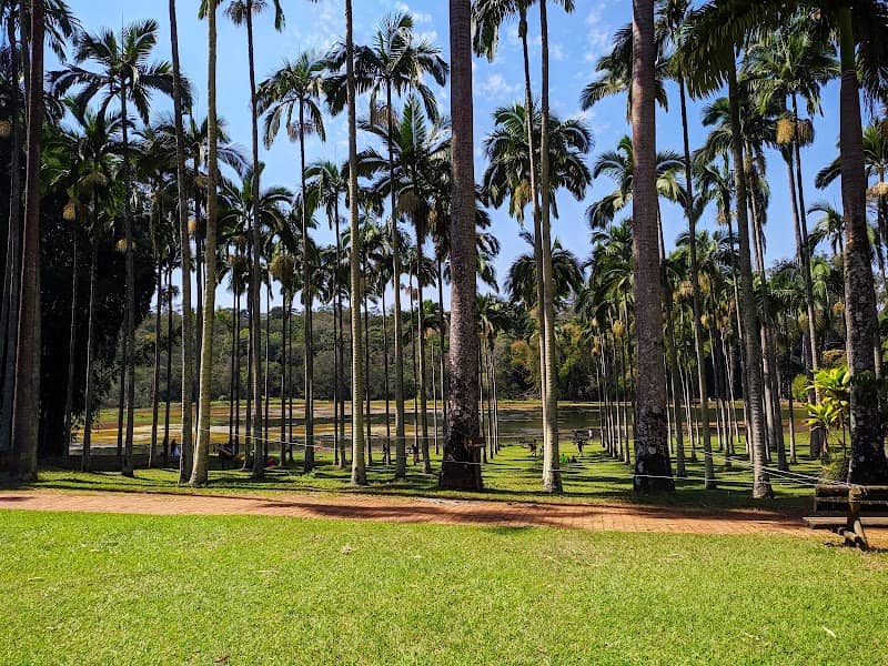 Entrada Principal Horto de Rio Claro - Image 1