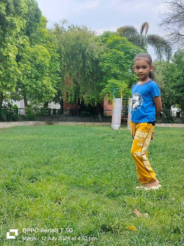 Green Park - Image 2