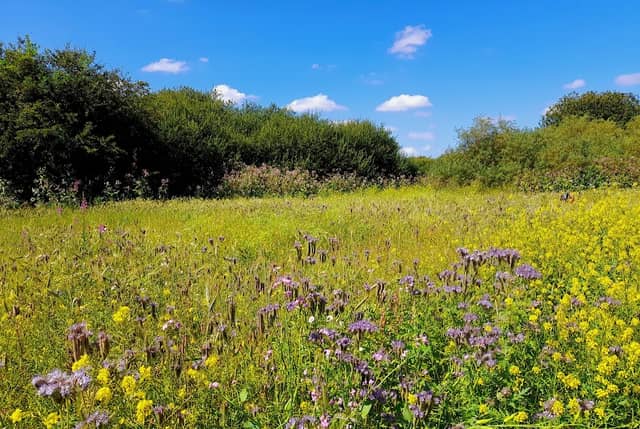 Woolston Eyes SSSI - Image 3