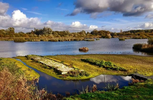 Woolston Eyes SSSI - Image 1