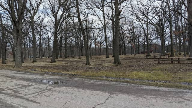 Burgoyne Woods - Image 1