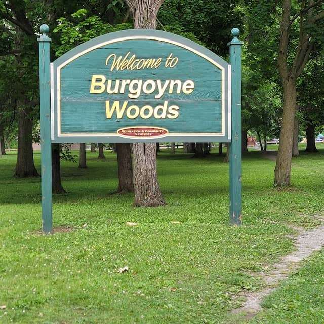 Burgoyne Woods - Image 2